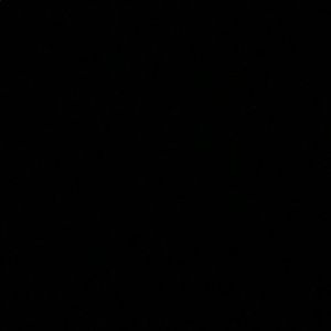 Meet your Posher, Tyree